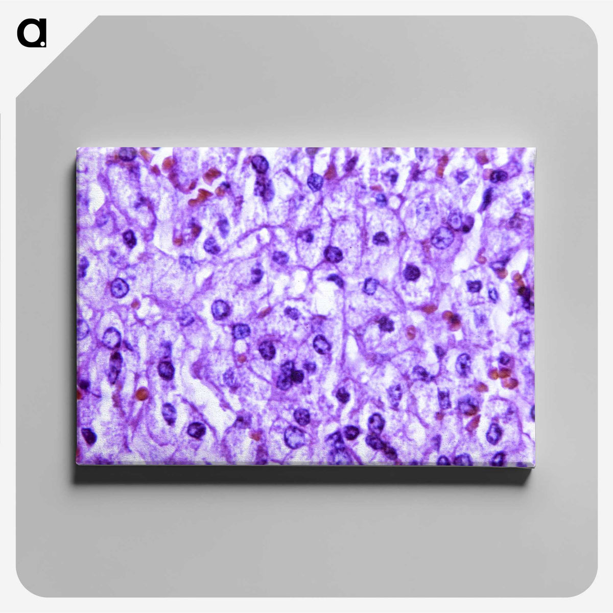 1-40_COVID-19_canvas