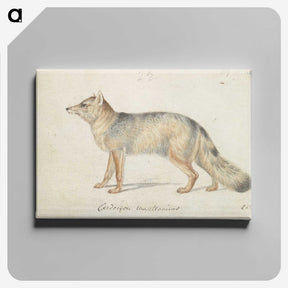 1-40_Charles-Hamilton-Smith_canvas