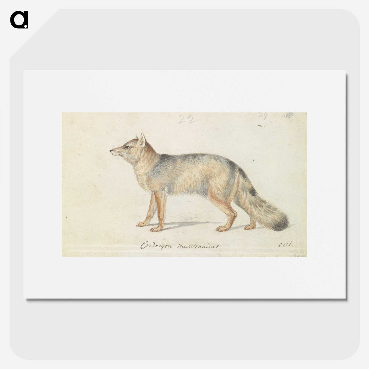 1-40_Charles-Hamilton-Smith_picture