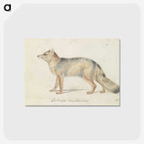 1-40_Charles-Hamilton-Smith_postcard