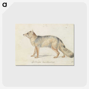 1-40_Charles-Hamilton-Smith_postcard