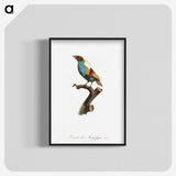 1-40_Des-Oiseaux-de-Paradis_blk-crop