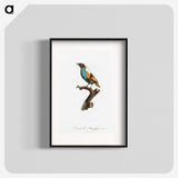 1-40_Des-Oiseaux-de-Paradis_blk