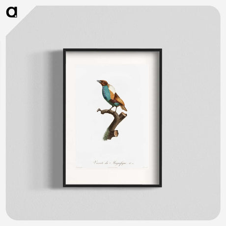 1-40_Des-Oiseaux-de-Paradis_blk