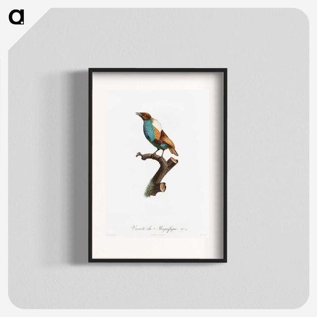 1-40_Des-Oiseaux-de-Paradis_blk