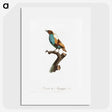 1-40_Des-Oiseaux-de-Paradis_picture