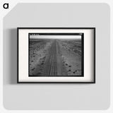 1-40_Dorothea-Lange_blk