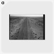 1-40_Dorothea-Lange_postcard