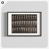 1-40_Eadweard-Muybridge_blk