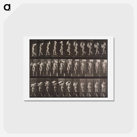 アートポストカード-Descending Stairs
 - エドワード マイブリッジ Postcard.