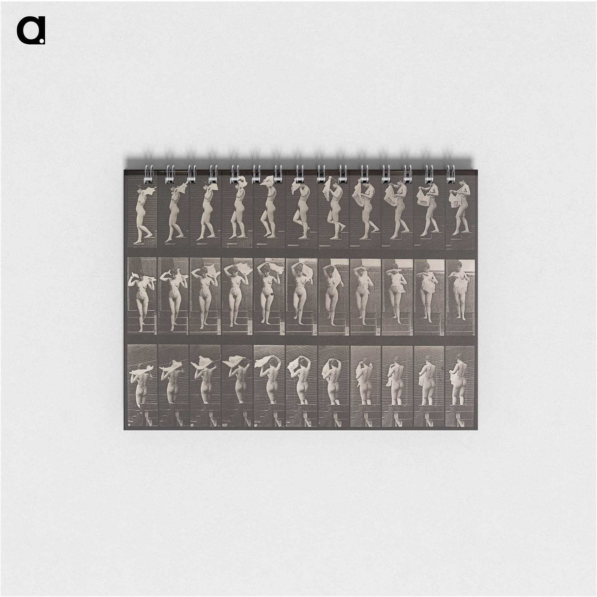 1-40_Eadweard-Muybridge_memo