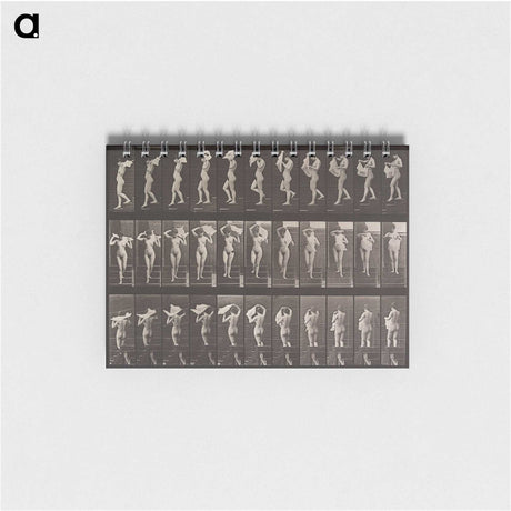 1-40_Eadweard-Muybridge_memo