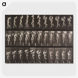 1-40_Eadweard-Muybridge_picture-crop