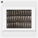 1-40_Eadweard-Muybridge_picture