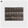 1-40_Eadweard-Muybridge_postcard