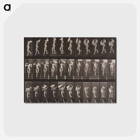 アートポストカード-Descending Stairs
 - エドワード マイブリッジ Postcard.