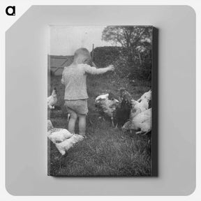 アートパネル-Michael Johnson feeding the chickens, Somerset - エリック リー ジョンソン Canvas.
