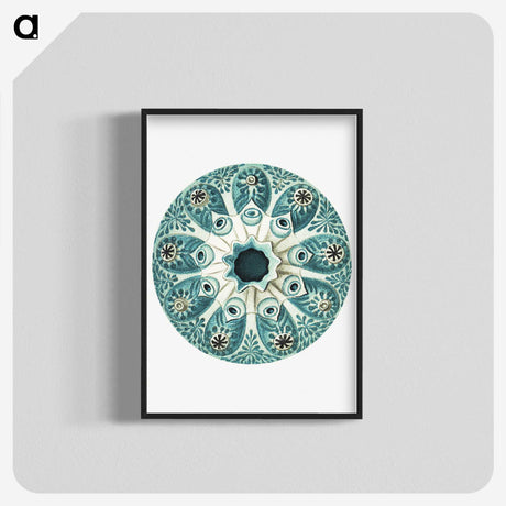 1-40_Ernst-Haeckel_blk-crop