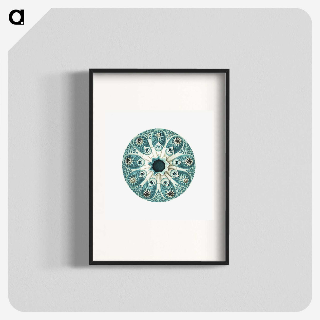 1-40_Ernst-Haeckel_blk