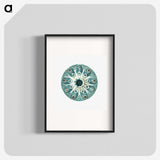 1-40_Ernst-Haeckel_blk