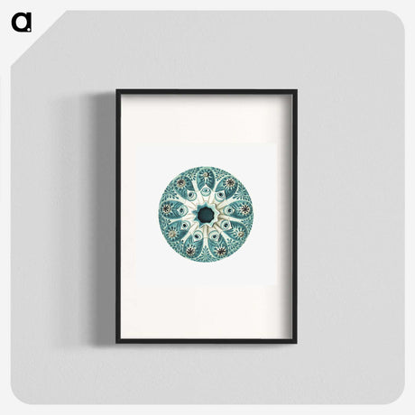1-40_Ernst-Haeckel_blk