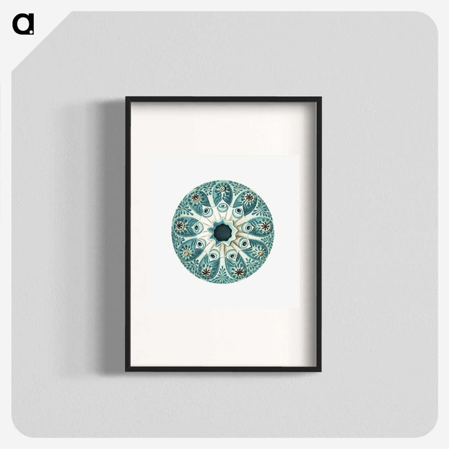 1-40_Ernst-Haeckel_blk