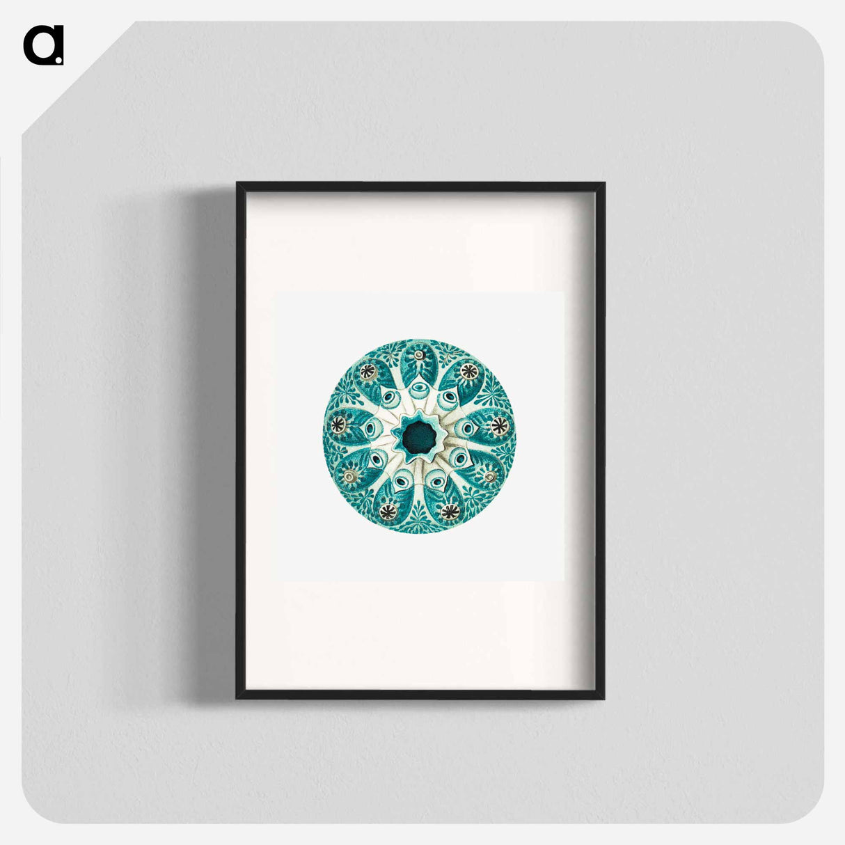 Colorful vintage tunicate illustration - エルンスト ヘッケル Poster.