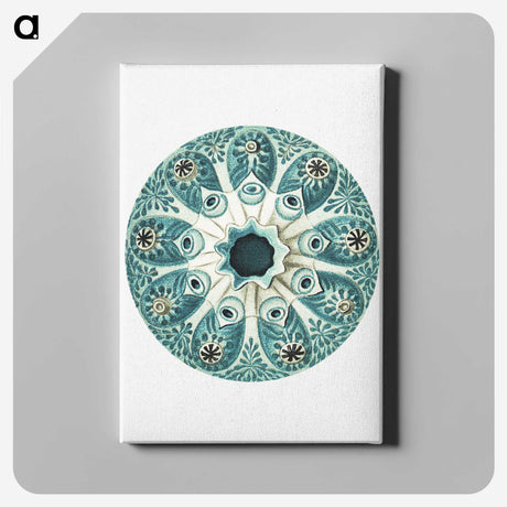 1-40_Ernst-Haeckel_canvas