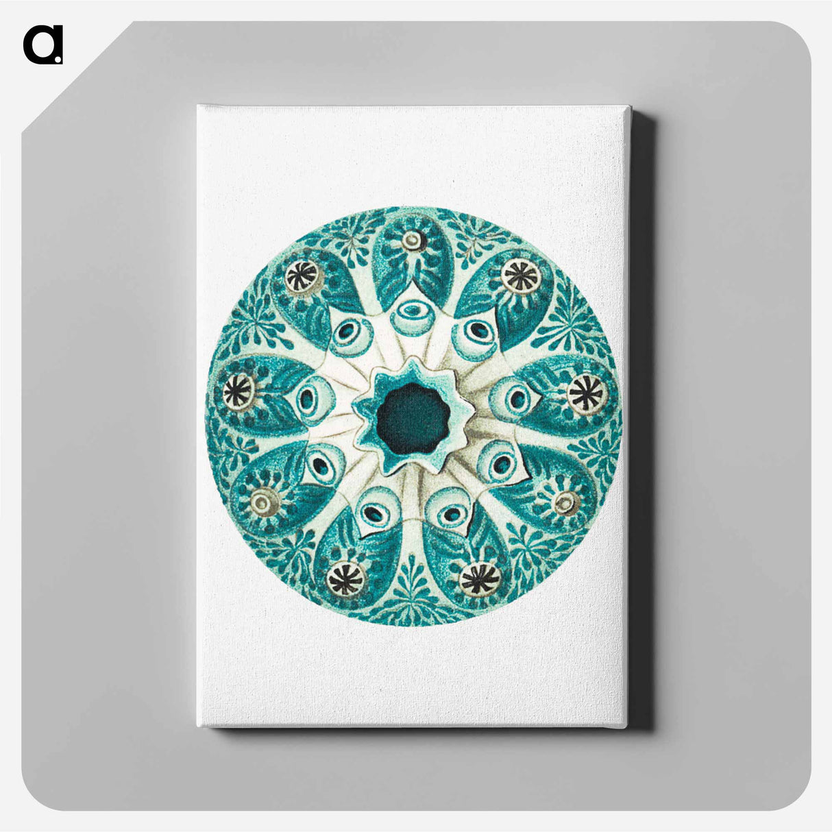 Colorful vintage tunicate illustration - エルンスト ヘッケル Canvas.