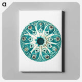 Colorful vintage tunicate illustration - エルンスト ヘッケル Canvas.