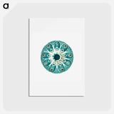 アートポストカード-Colorful vintage tunicate illustration - エルンスト ヘッケル Postcard.