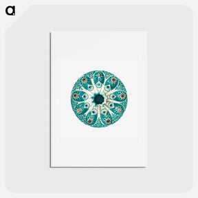 アートポストカード-Colorful vintage tunicate illustration - エルンスト ヘッケル Postcard.