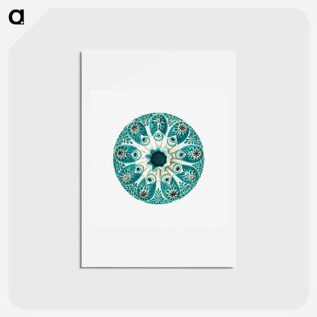 アートポストカード-Colorful vintage tunicate illustration - エルンスト ヘッケル Postcard.