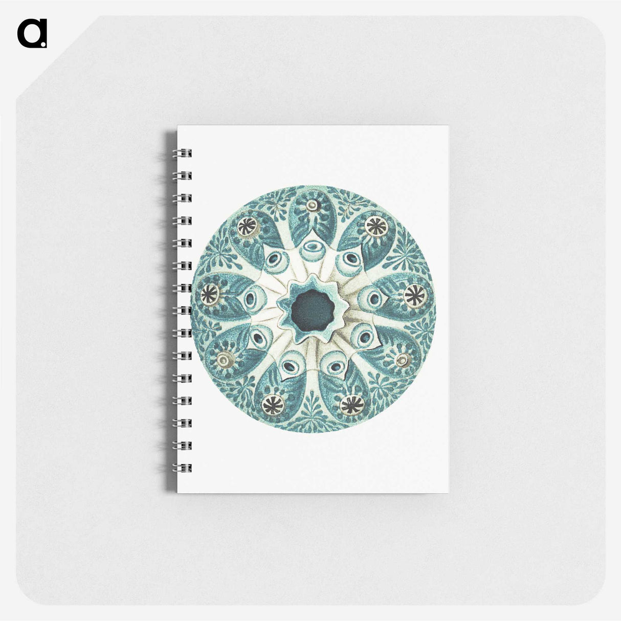1-40_Ernst-Haeckel_memo