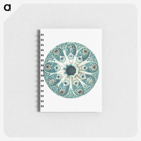 1-40_Ernst-Haeckel_memo