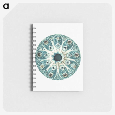 1-40_Ernst-Haeckel_memo