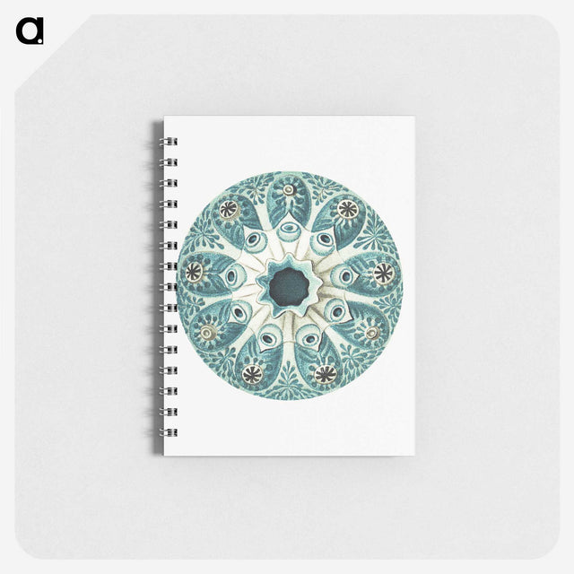 1-40_Ernst-Haeckel_memo