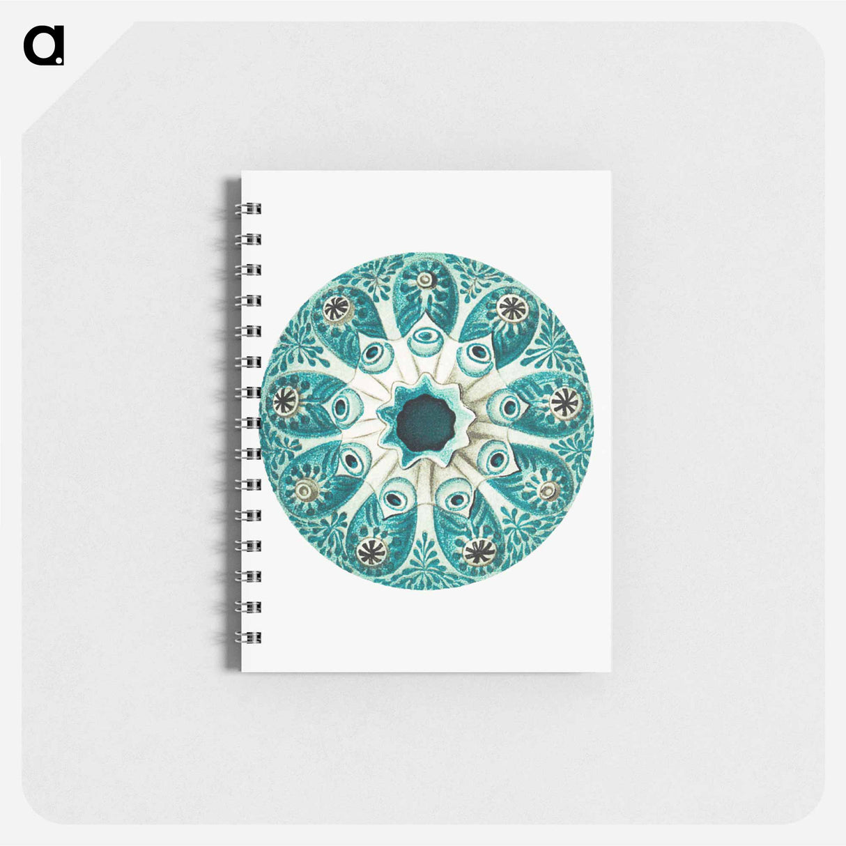 アートメモ帳-Colorful vintage tunicate illustration - エルンスト ヘッケル Memo.