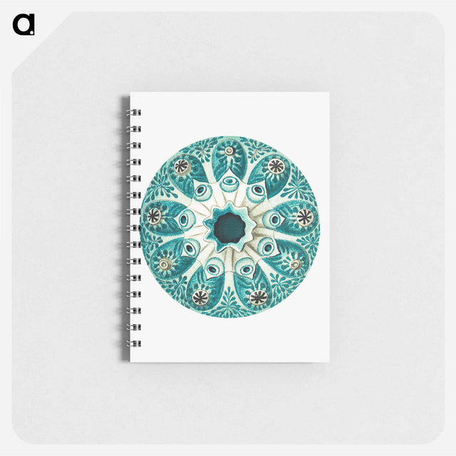 アートメモ帳-Colorful vintage tunicate illustration - エルンスト ヘッケル Memo.