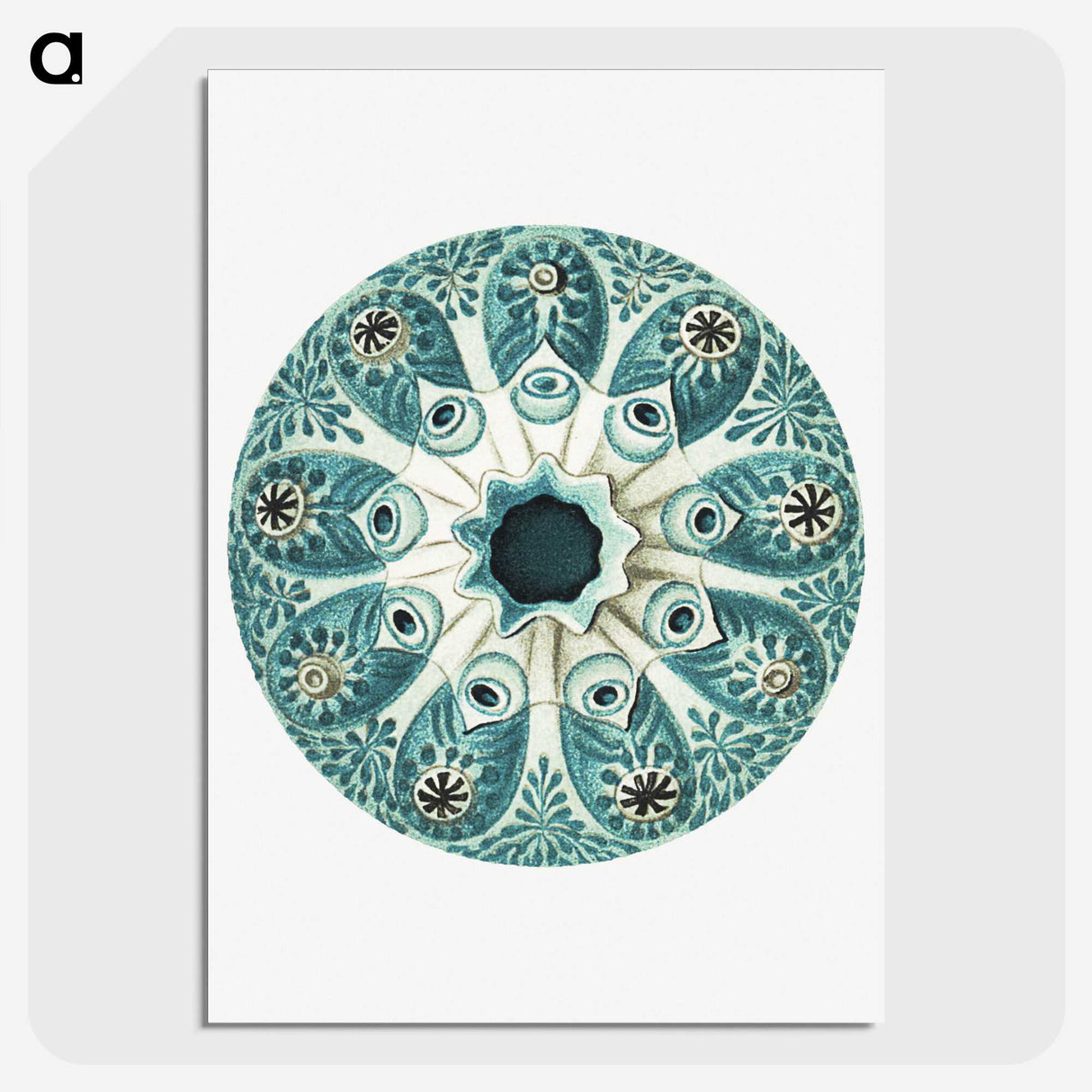 1-40_Ernst-Haeckel_picture-crop