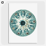 1-40_Ernst-Haeckel_picture-crop