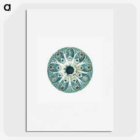 1-40_Ernst-Haeckel_picture