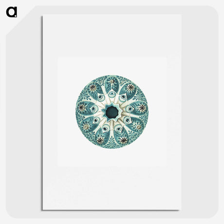 1-40_Ernst-Haeckel_picture
