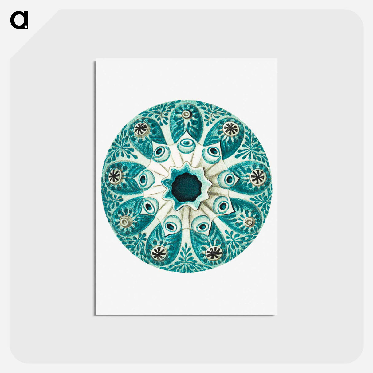 アートポストカード-Colorful vintage tunicate illustration - エルンスト ヘッケル Postcard.