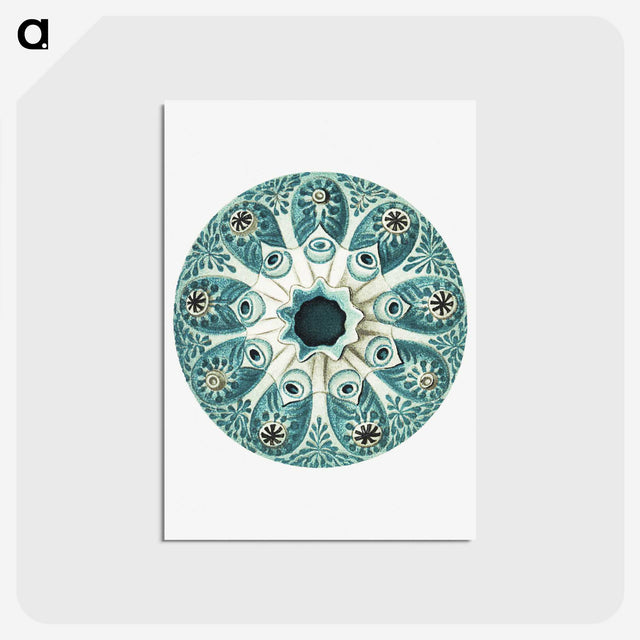 1-40_Ernst-Haeckel_postcard