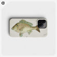 1-40_Frank-Edward-Clarke_phone