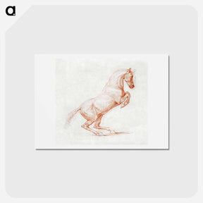 アートポストカード-Prancing Horse
 - ジョージ スタッブス Postcard.