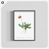 1-40_Histoire-des-Plantes-Grasses_blk-crop