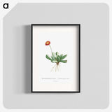 1-40_Histoire-des-Plantes-Grasses_blk