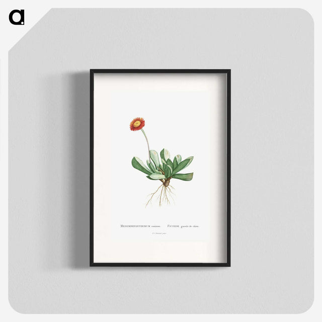 1-40_Histoire-des-Plantes-Grasses_blk